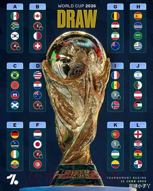 最新世界杯荷兰哈兰德赛事预测全解析